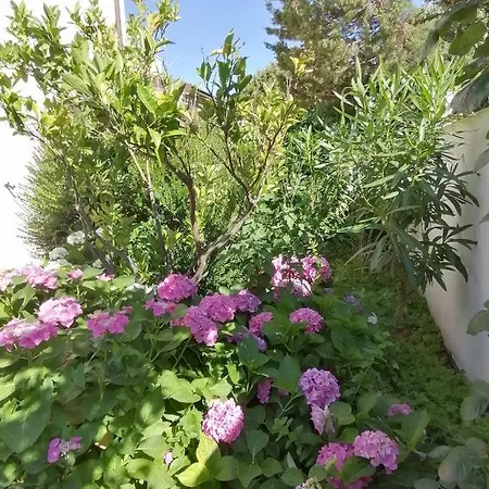 Appartement Rosa *