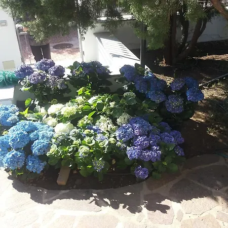 Rosa דירה *