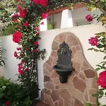 Rosa Cala Gonone