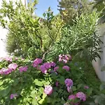 Apartamento Rosa *