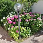 Rosa * Cala Gonone