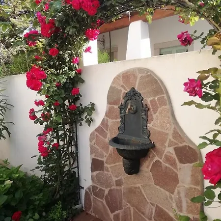 Rosa Cala Gonone