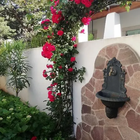 Rosa Cala Gonone