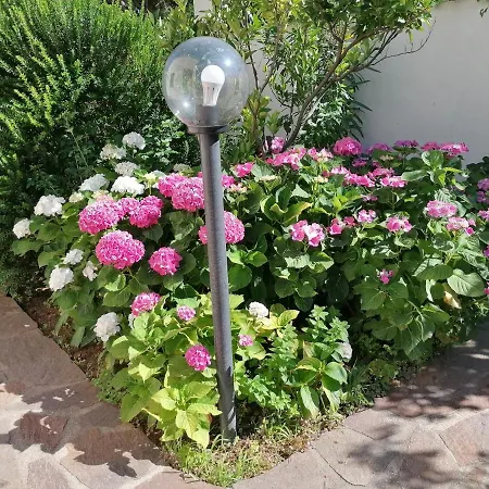 Rosa * Cala Gonone