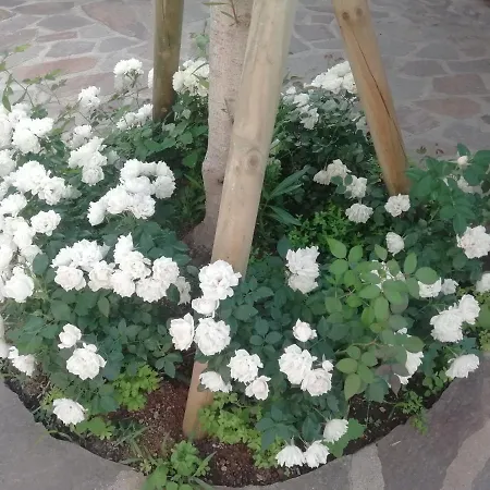 Rosa Apartment Cala Gonone